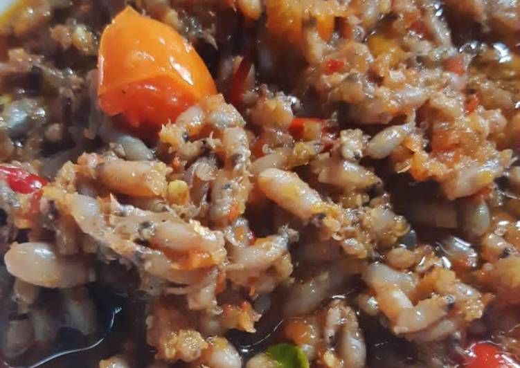 Resep Sambel baby cumi yang Lezat Sekali