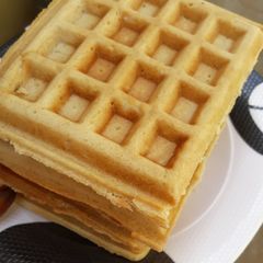 A picture of Waffles.
