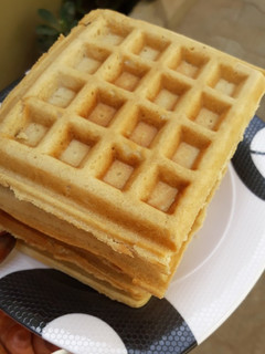 A picture of Waffles.