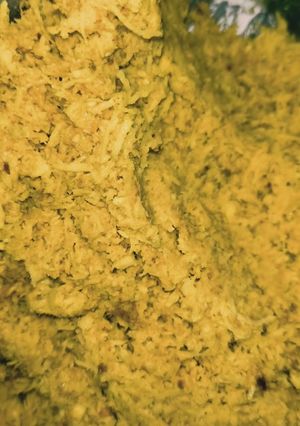 Foto resep Kelapa Bumbu Kuning (serundeng)