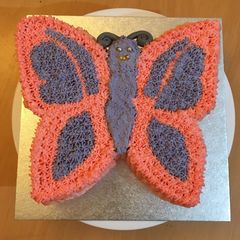 A picture of Butterfly Cake.