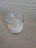Panna cotta vegan