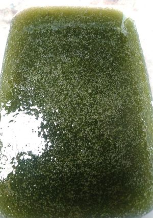 Foto resep Cincau hijau