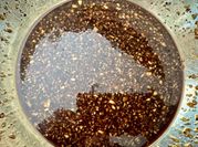 A picture of sirloin marinade