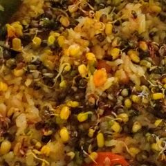 A picture of Mixed Khichdi.