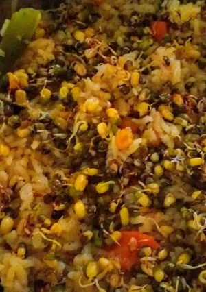 A picture of Mixed Khichdi.