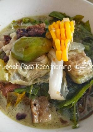 Foto resep Sayur Lodeh ala Yudith (Rasa Kecombrang)