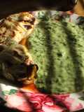 Paquetes sorpresa con salsa blanca verdozzza