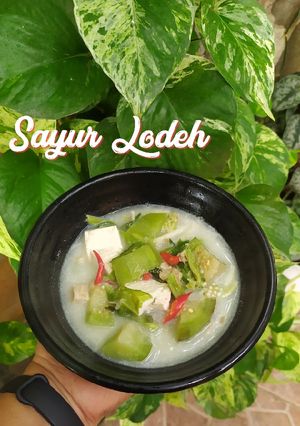 Foto resep Sayur Lodeh