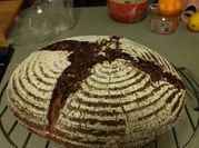 A picture of rye sourdough