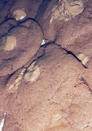 صورة لوصفة ألذ كوكيز 🍪🍪 يميي