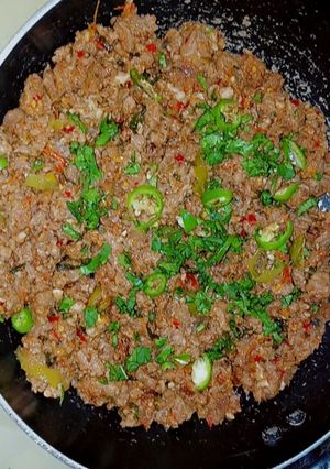 A picture of Handi Qeema.