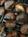Castanhas Assadas na Airfryer