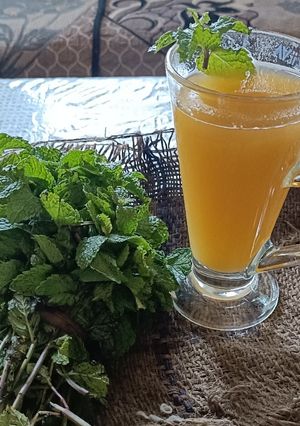 बेल का शर्बत(bel ka sharbat recipe in hindi) रेसिपी मुख्य फोटो