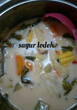 Foto resep Sayur lodeh super simpel