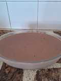 Crema de chocolate con sabor a infancia