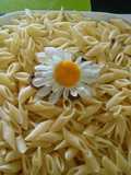 Pasta con tomate y pasta con cabronata. bychusmi