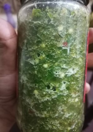 A picture of Green Chilli frozen.