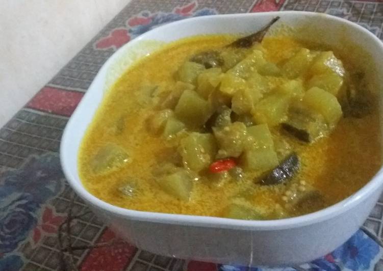 Langkah Mudah untuk Menyiapkan Sayur santan labu siam dan terong ungu simple ala Bunda Al yang Lezat Sekali