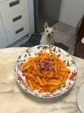 Skillet Penne Amatriciana Style