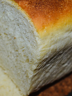 A picture of EASY Basic Bread.