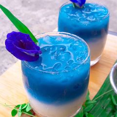 A picture of Ice Milk Butterfly pea.