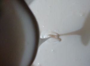 Una foto de Pegamento comestible (Royal icing)