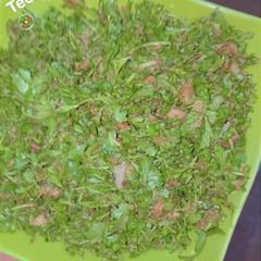 A picture of KWADAN LANSIR 🥗.