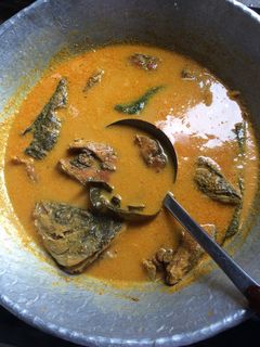 Foto resep Gulai ikan salmon