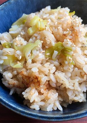 A picture of Leek Takikomigohan.