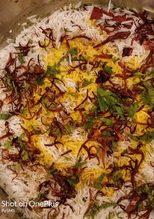 A picture of Chicken dum biryani.