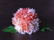 Una foto di riso basmati con salsa di soia