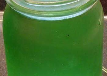 Easiest Way to Recipe Delicious Sour Apple Moonshine