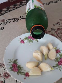 عکسی از دستور نگه داری سیر