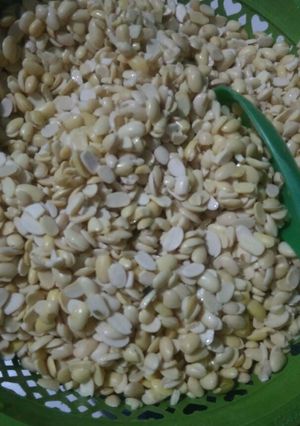 Foto resep Bakal tempe
