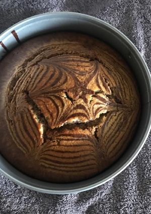 صورة لوصفة كاتو الزيبرا