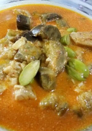 Foto resep Lodeh terong