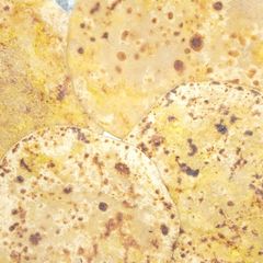Cauliflower stuffed paratha A picture of Cauliflower stuffed paratha.