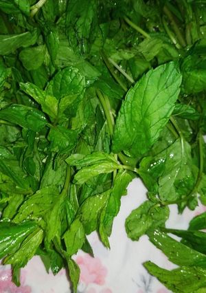 صورة لوصفة النعناع الأخضر 🌿