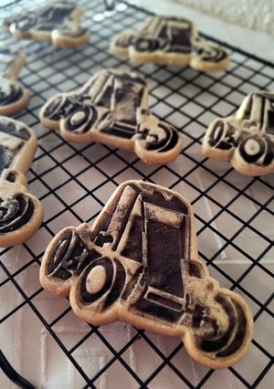 Una foto de Cookies MIDGET 🏁