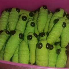 Foto resep Semprit ulat istimewa