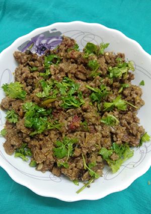 A picture of Masala Keema.