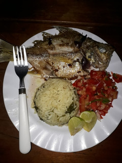 Una foto de Roncón frito...🇸🇻