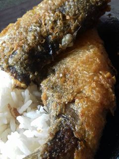 Foto resep Bandeng Presto Goreng