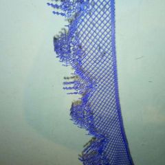 A picture of LACE Recipe.