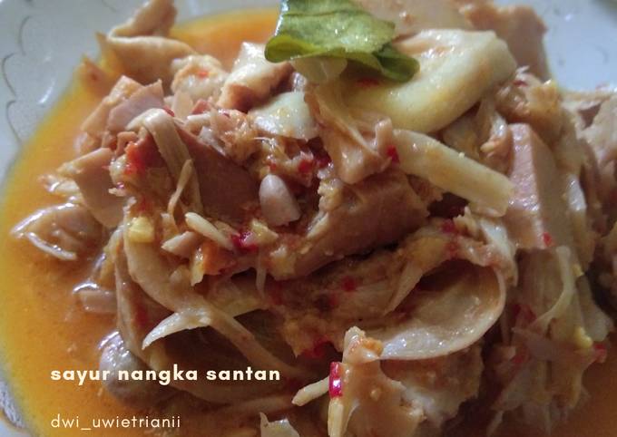 Resep: Sayur nangka santan Untuk Pemula