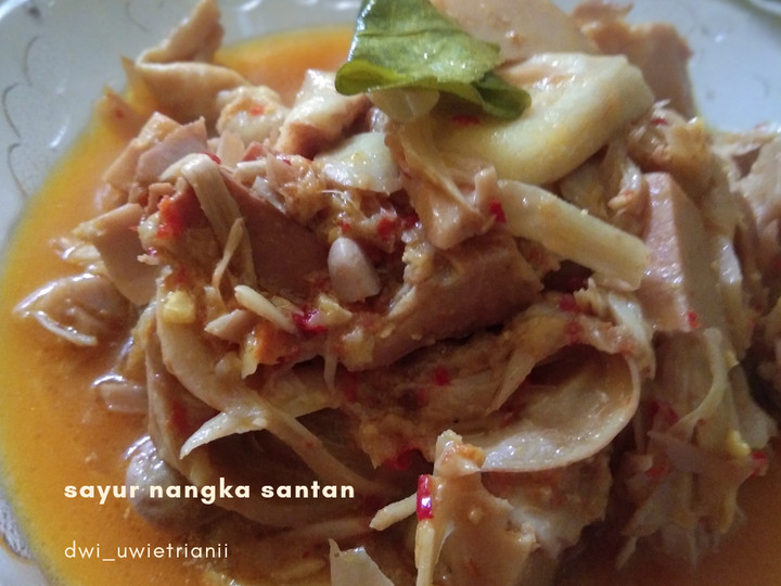 Resep: Sayur nangka santan Untuk Pemula