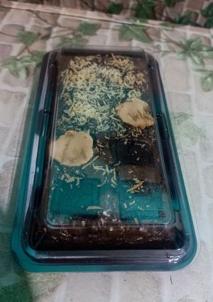 Foto resep Brownies panggang shiny crust