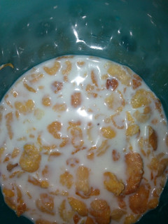 A picture of Cornflakes.