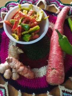 ગાજર મરચાં નું અથાણું (Gajar Marcha Athanu Recipe In Gujarati) રેસીપી મુખ્ય ફોટો